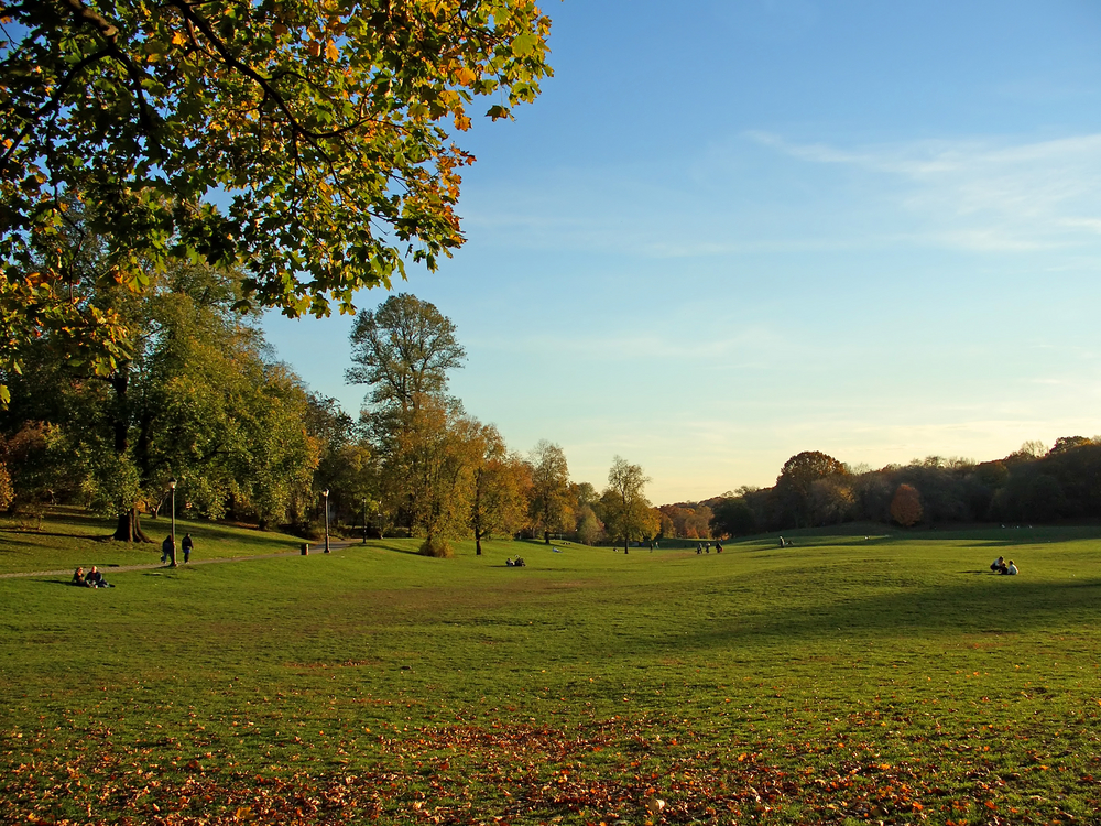 Prospect Park