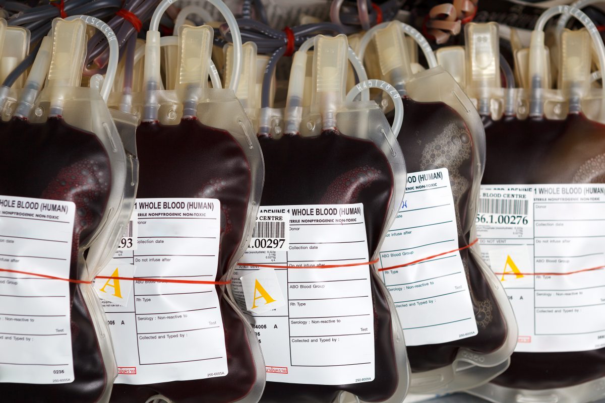 Pints of blood stored at a blood bank.