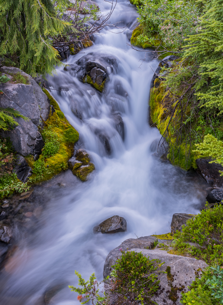 A photo of a waterfall, taken at Mount Rainer National Park in Washington state.